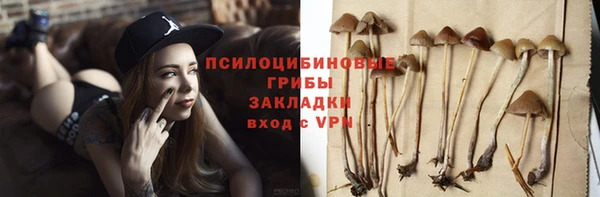 сатива Алзамай