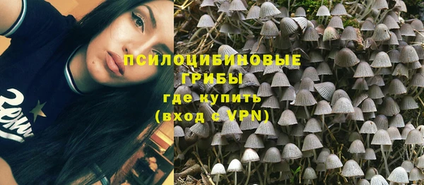 МДПВ Абаза