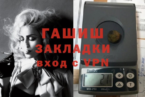 сатива Алзамай