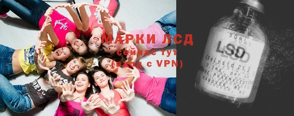 стафф Алексин