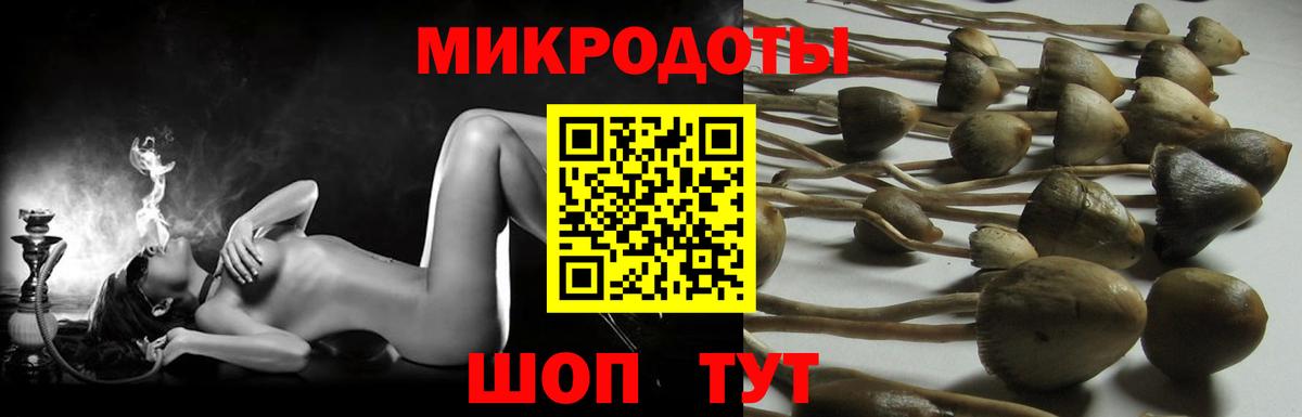 Кемерово  Галлюциногенные грибы MAGIC MUSHROOMS  Вход с VPN 